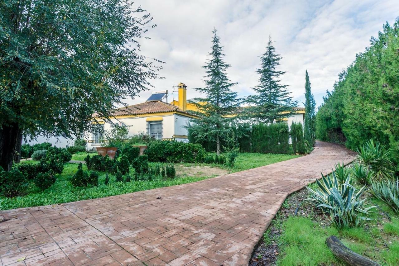 Casa Elizabeth Daire Palomares del Río Dış mekan fotoğraf